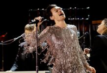 Harry Styles Will Have to Take New Zealand’s Census