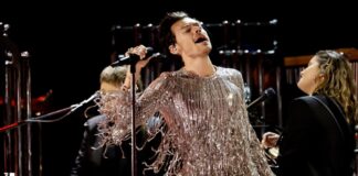 Harry Styles Will Have to Take New Zealand’s Census