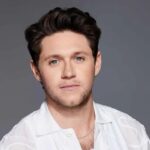 Niall Horan Has a Meltdown on Second Single From The Show Stream It Now