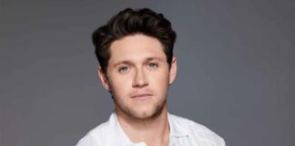 Niall Horan Has a Meltdown on Second Single From The Show Stream It Now