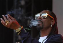 blinged out snoop dog smoking