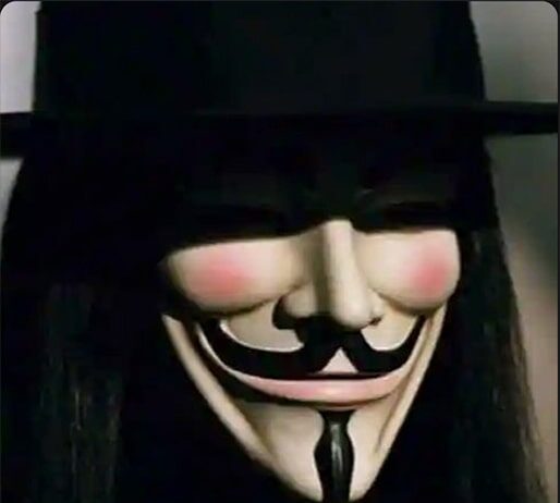 vibes the masked dj