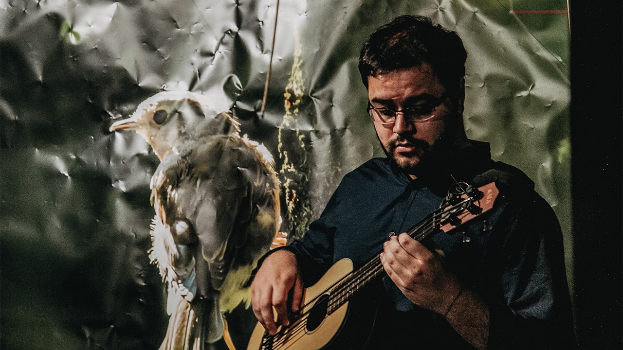 The Curupira Concert 4