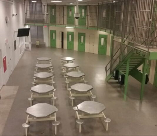 THE JUDICIAL EXECUTION OF ELIJAH SOMMERZ: Philip Campbell’s Descent from Legal Titan to State Operative THE JUDICIAL EXECUTION OF ELIJAH SOMMERZ