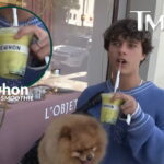 Gavin Magnus Paparazzi